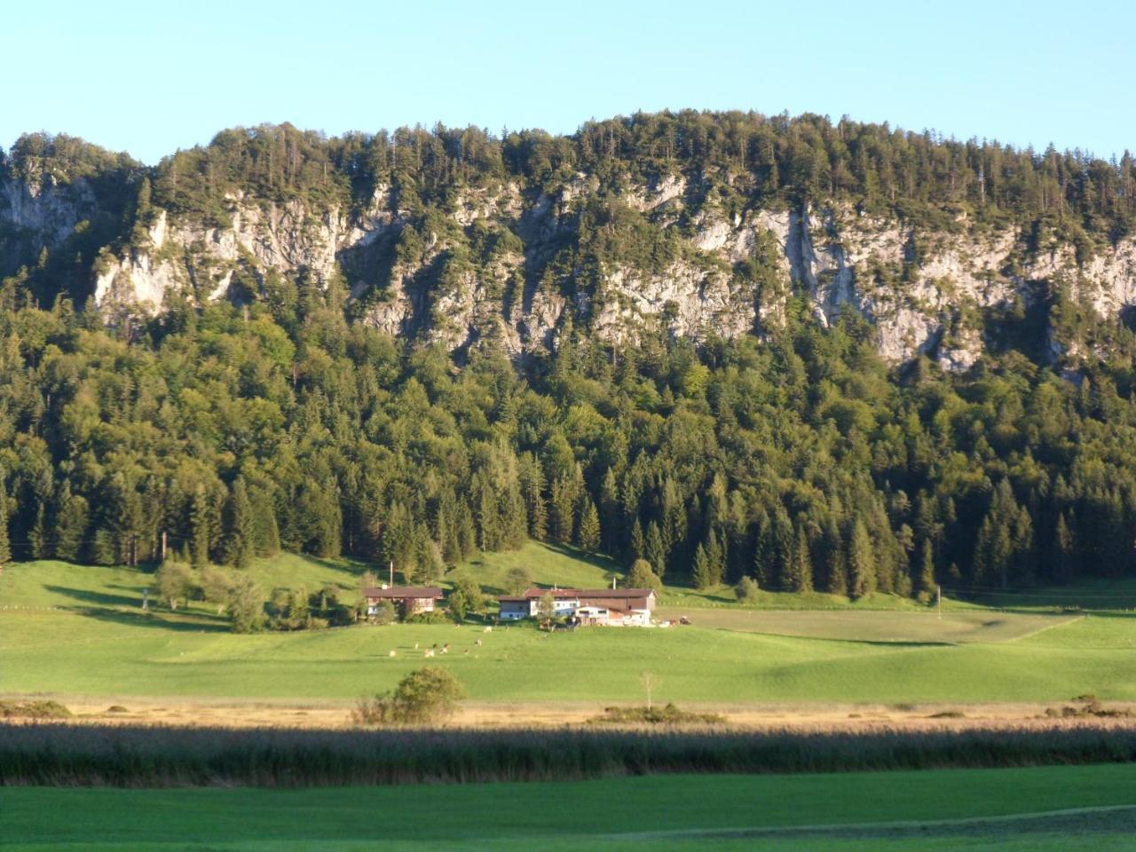 Pfandlhof Hotel Walchsee Buitenkant foto